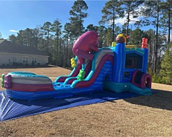 Bounce House Combo Rentals